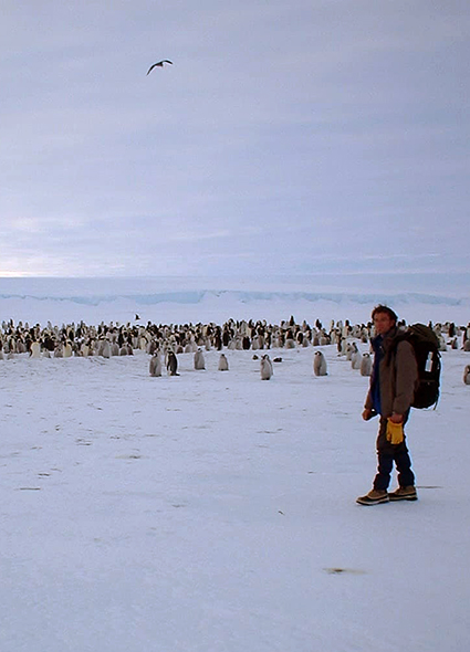 Phillipe Terrier lors d'un voyage en Antarctique, entouré par des manchots.