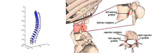 3D spine reconstruction and Digitalizing each vertebra