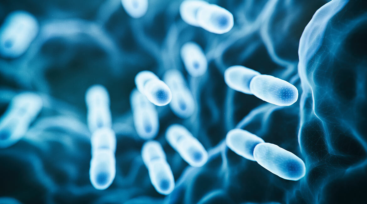 Des bactéries en gros plan, plongée dans l'univers de la biotechnologie.