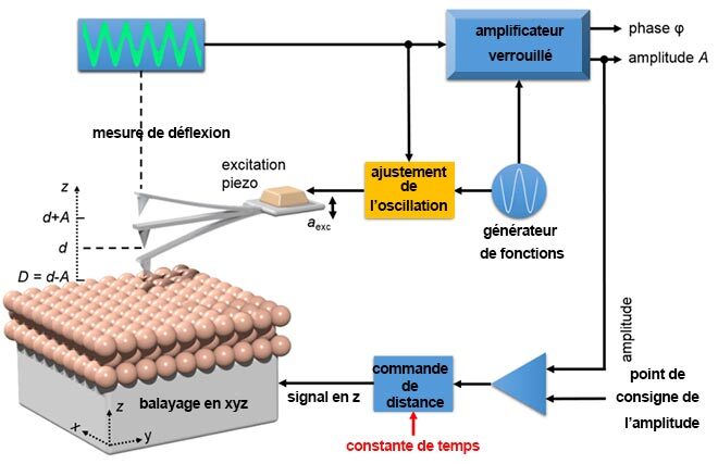 microscope à force atomique