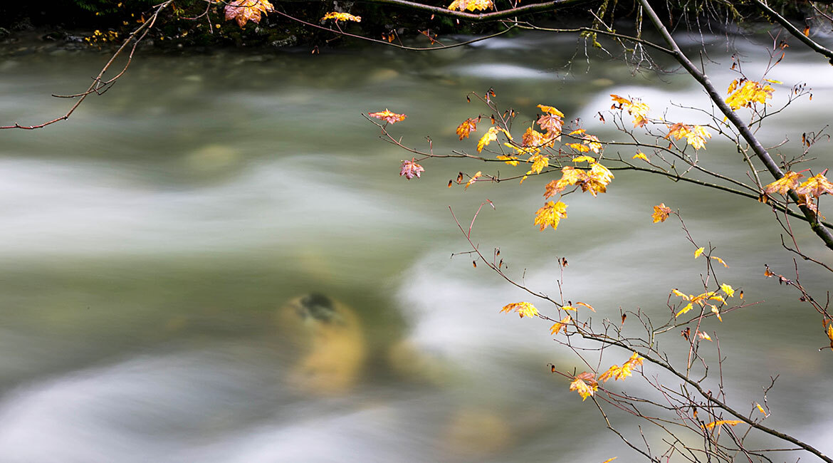 Rivière floue avec feuilles d'automne en premier plan.