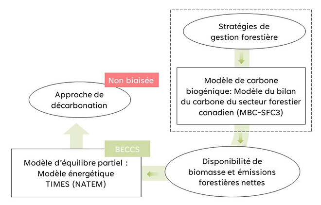 Méthodologie de l'étude