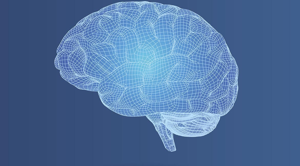 Modèle 3D du cerveau pour étude en neurotechnologie.