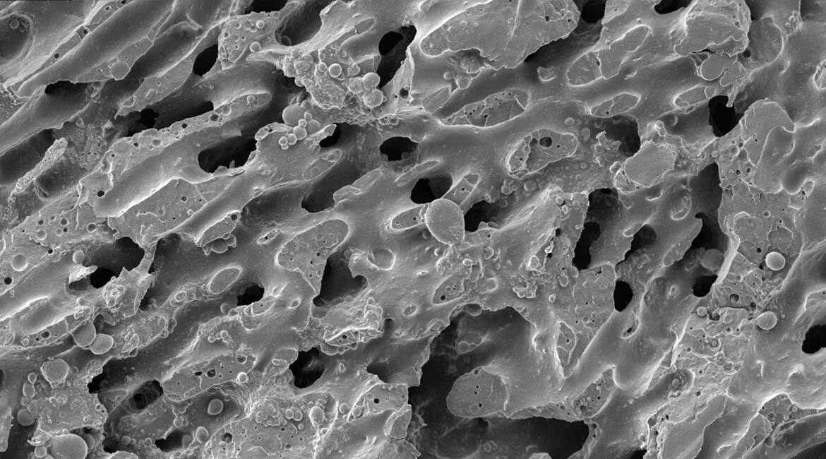 SEM picture of polypropylene/polystyrene/carbon nanotubes