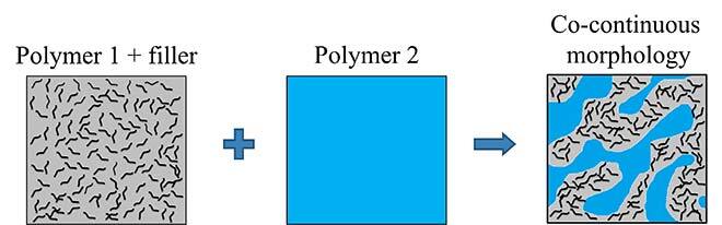 Co-continuous morphology of an electrically Conductive Polymer Composites