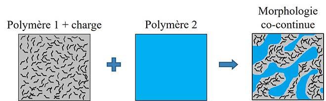 Morphologie co-continue de composites polymères conducteurs
