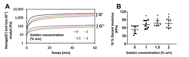 Chitosan gel properties