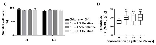 Propriété du gel de Chitosane