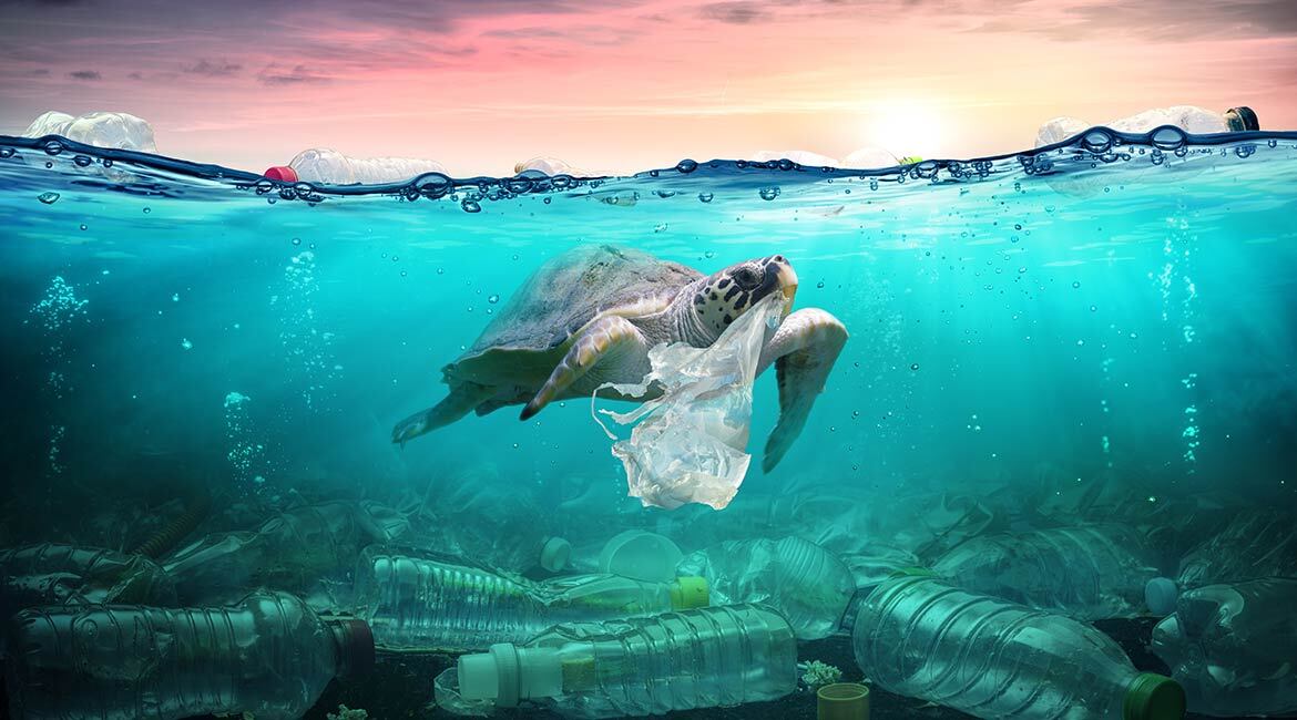 Tortue parmi des déchets en mer, rappel de la pollution aquatique.