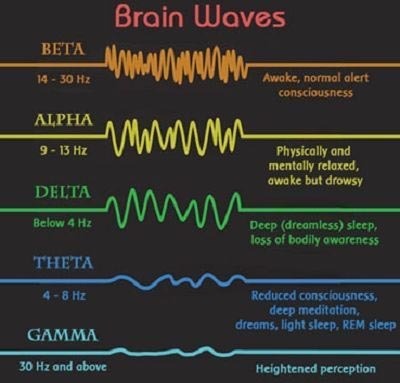ondes cérébrales du cerveau