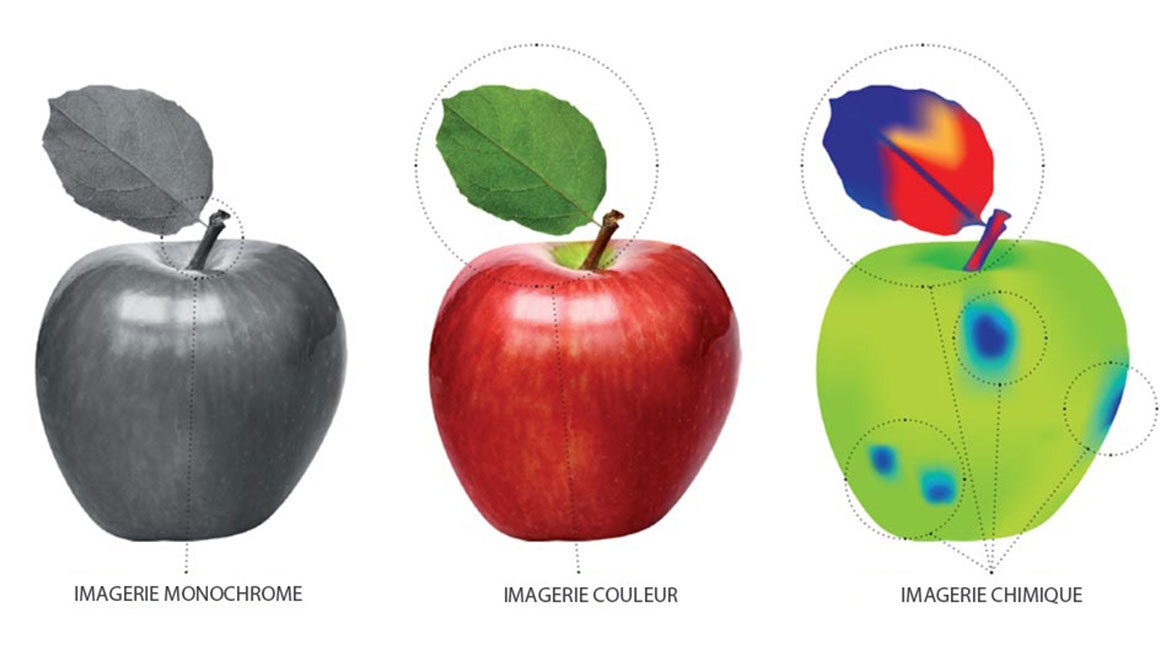 Trois pommes démontrant différents types d'imagerie : monochrome, couleur et chimique.