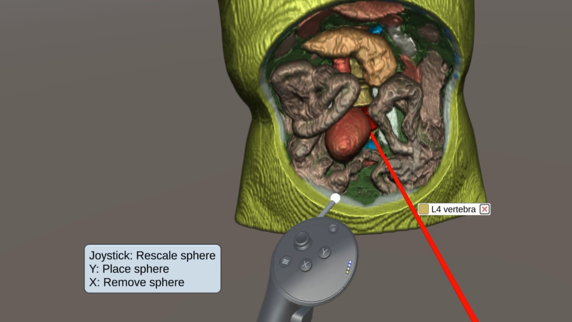 Interactive simulation showing internal anatomical structures, with joystick control to place or remove objects.