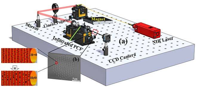 Behaviour of magnetic nanoparticles