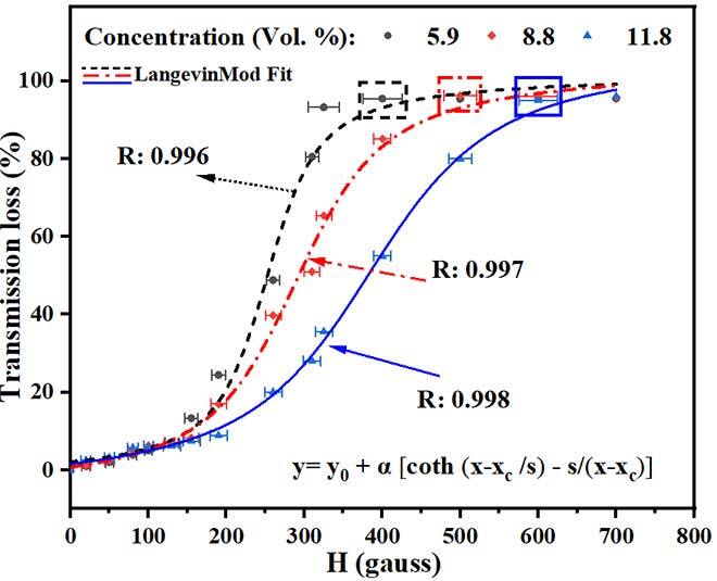 magnetic nanoparticles