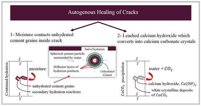 How concrete self-heals