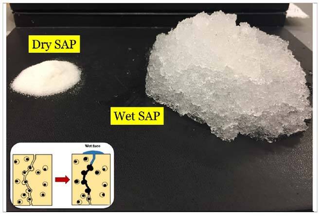 How much water can superabsorbent polymer absorb?