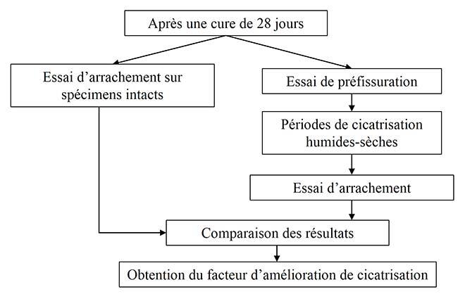 Recherche sur le béton autocicatrisant