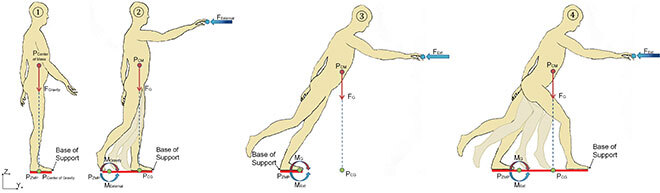 "Biomechanics of balance with force vectors and body dynamics."