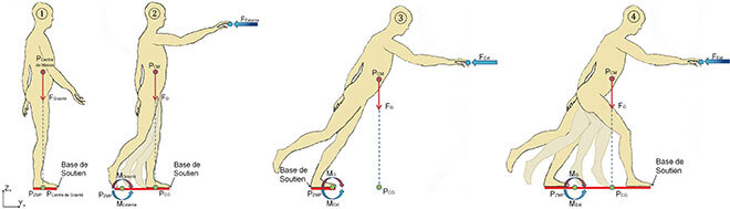 Illustration de dynamique de la marche avec forces et points d'appui.