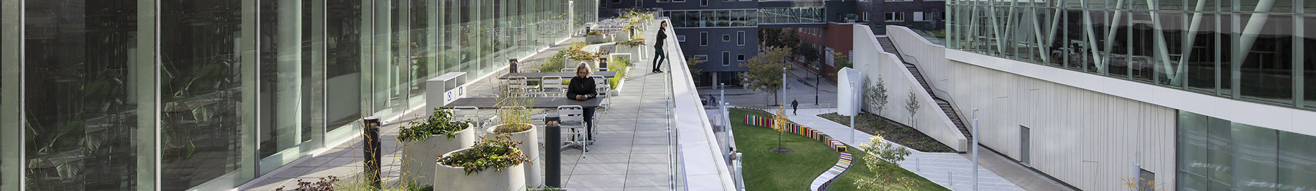 Terrasse verdoyante d'une université avec mobilier moderne pour la détente et l'étude en extérieur.