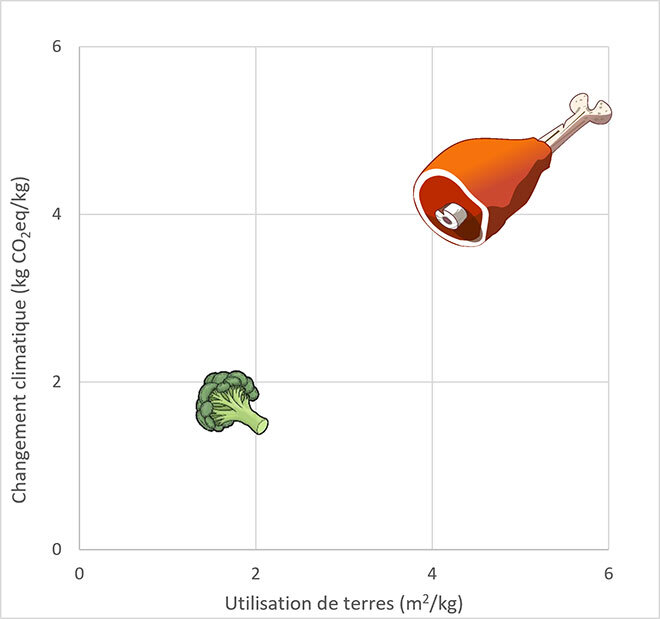 Différence d'impacts entre les diètes omnivore et végétalienne