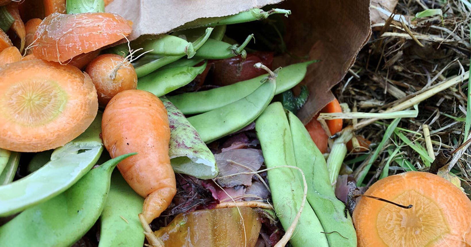 Turning Organic Waste Into Energy ÉTS Montréal