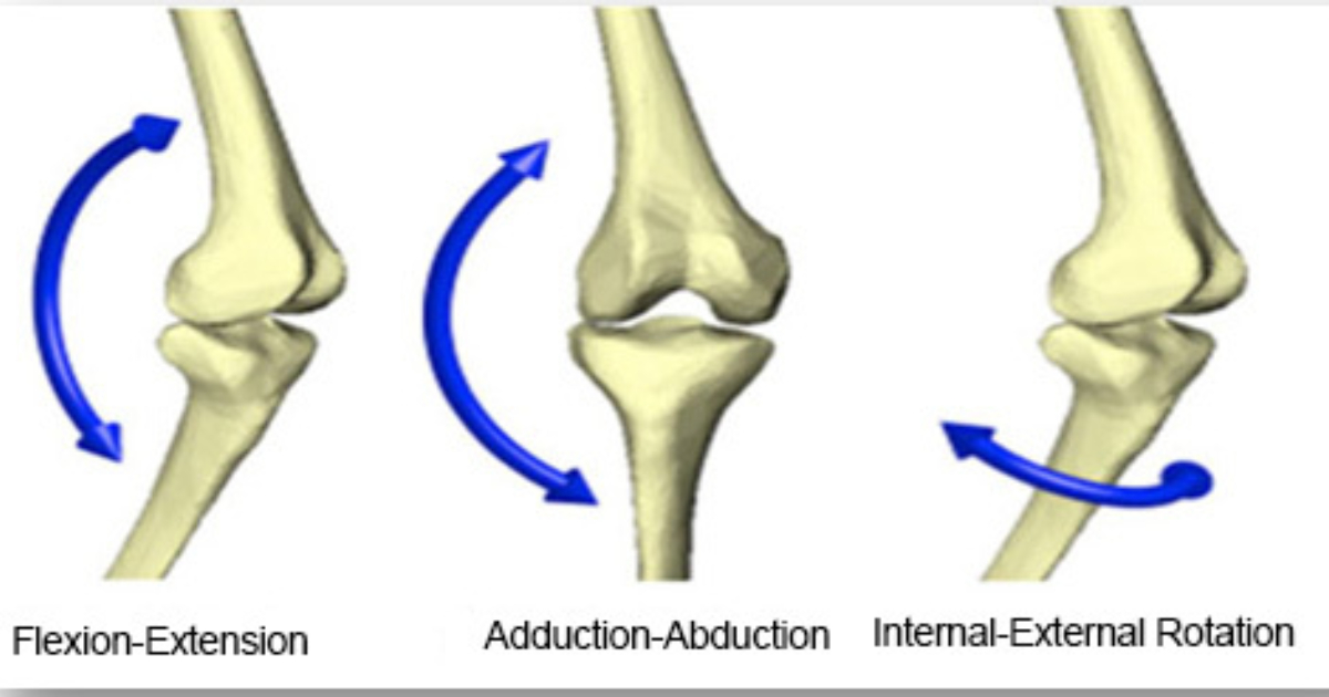 La genougraphie mieux évaluer la fonction dynamique du genou ÉTS