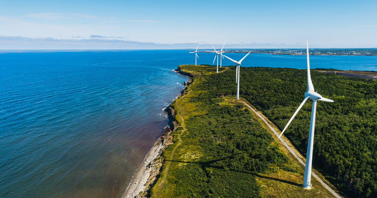 Un paysage côtier verdoyant où des éoliennes se dressent majestueusement, illustrant l'énergie renouvelable en harmonie avec la nature.