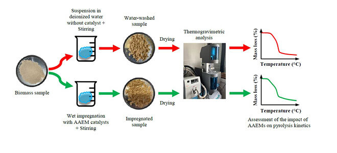 Impact of AAEMs on Pyrolysis Kinetics