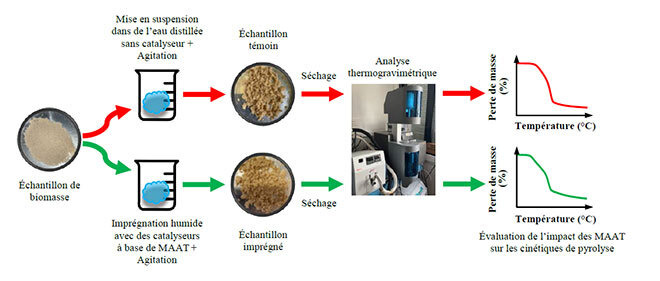 Effet des MAAT sur la cinétique de la pyrolyse