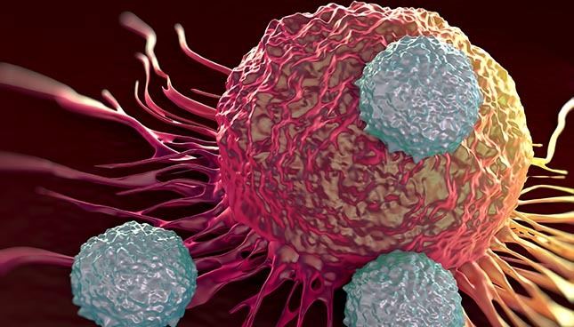 Cellule cancéreuse et lymphocytes T. Recherche en oncologie.