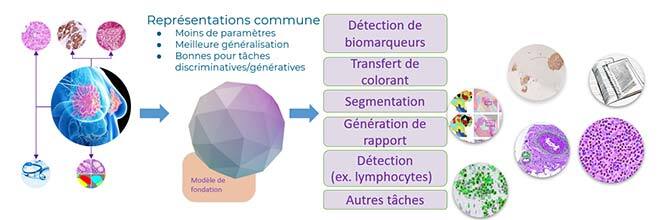 Programme de recherche