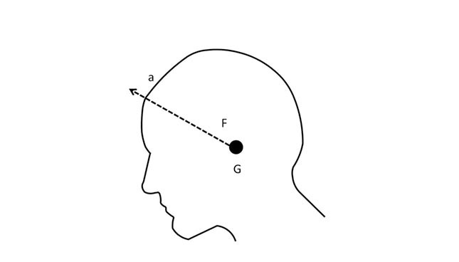 Schematic of a human head profile with focal point F and point G, interconnected by dashed line a.