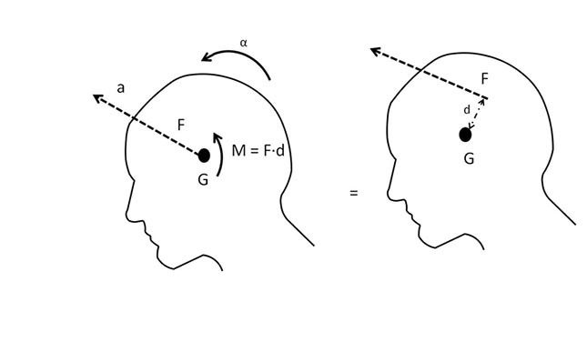 "Diagram illustrating torque with forces applied to a pivot point on a silhouette head profile."
