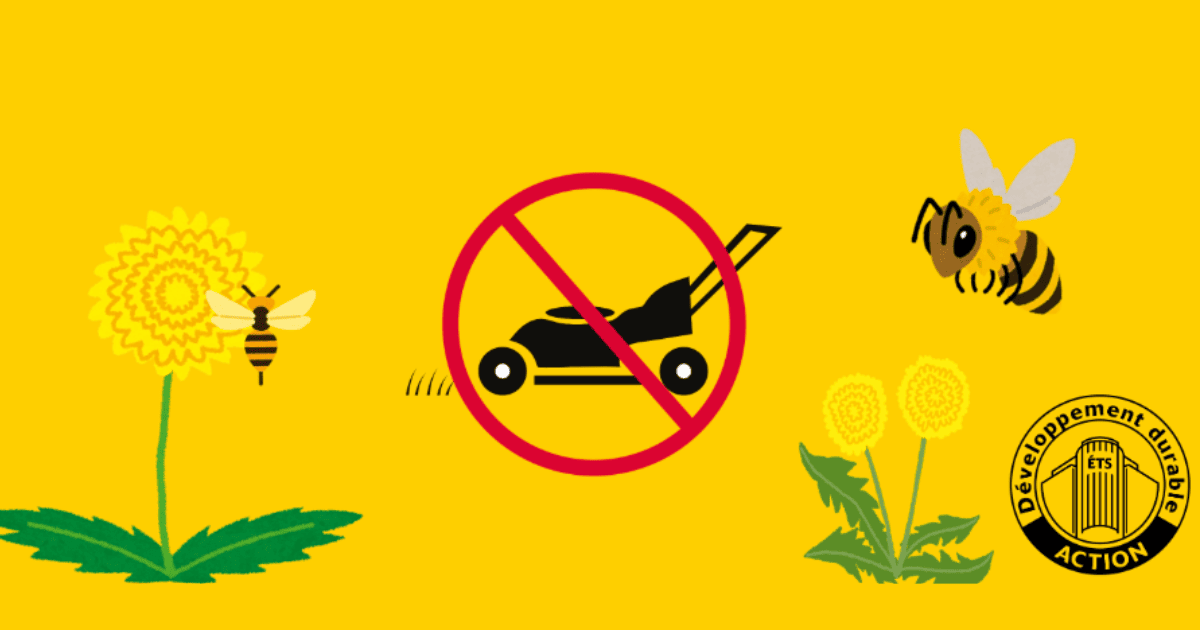 Pour une nature en santé, évitez de tondre et protégez les abeilles et les fleurs. Ensemble, favorisons le développement durable !