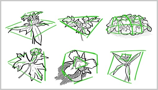 Diverses illustrations botaniques présentent des feuilles et fleurs esquissées, encadrées par des lignes vertes.