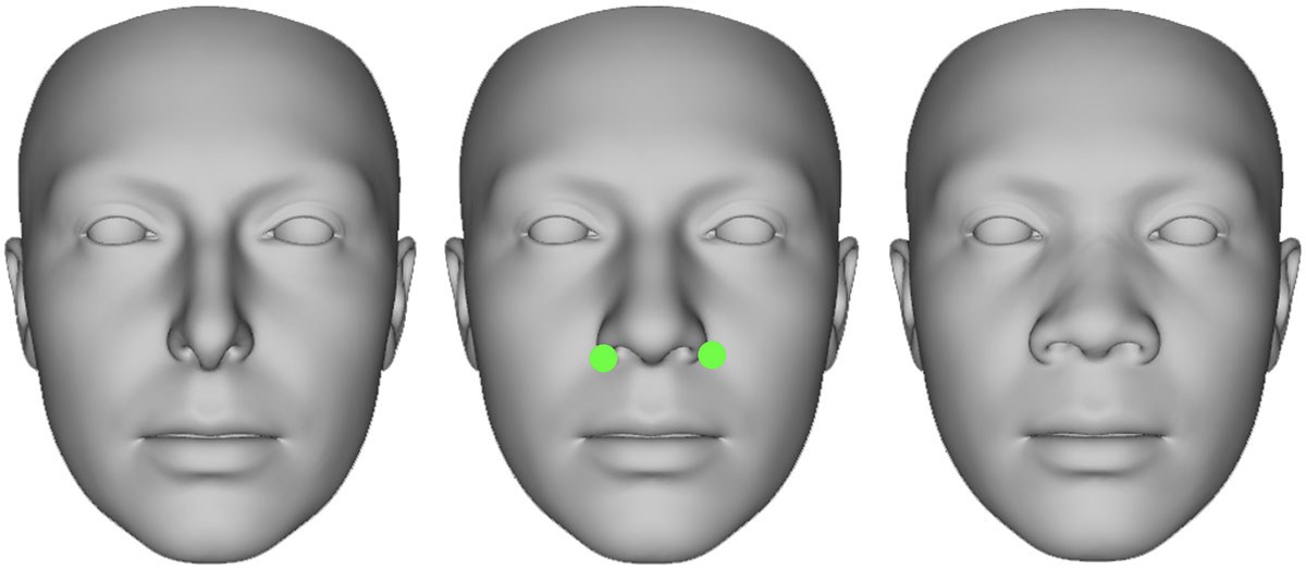 Modèles 3D de visages humains, mettant en évidence des points de référence pour l'analyse et la technologie de reconnaissance faciale.