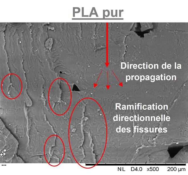 Image MEB du PLA pur