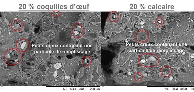 Image MEB de mélange à 20 % coquilles d’œuf et calcaire