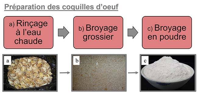 Préparation de l’agent de remplissage à coquilles d’œuf