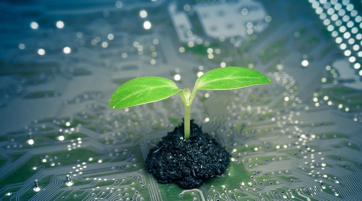 Innovation et durabilité en technologie: intégrer la nature avec l'électronique.