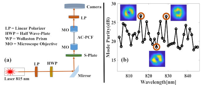 Mode purity of OAM beams