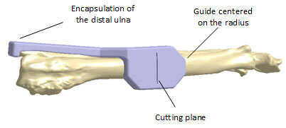 Cutting guide to facilitate the dog endoprosthesis implantation