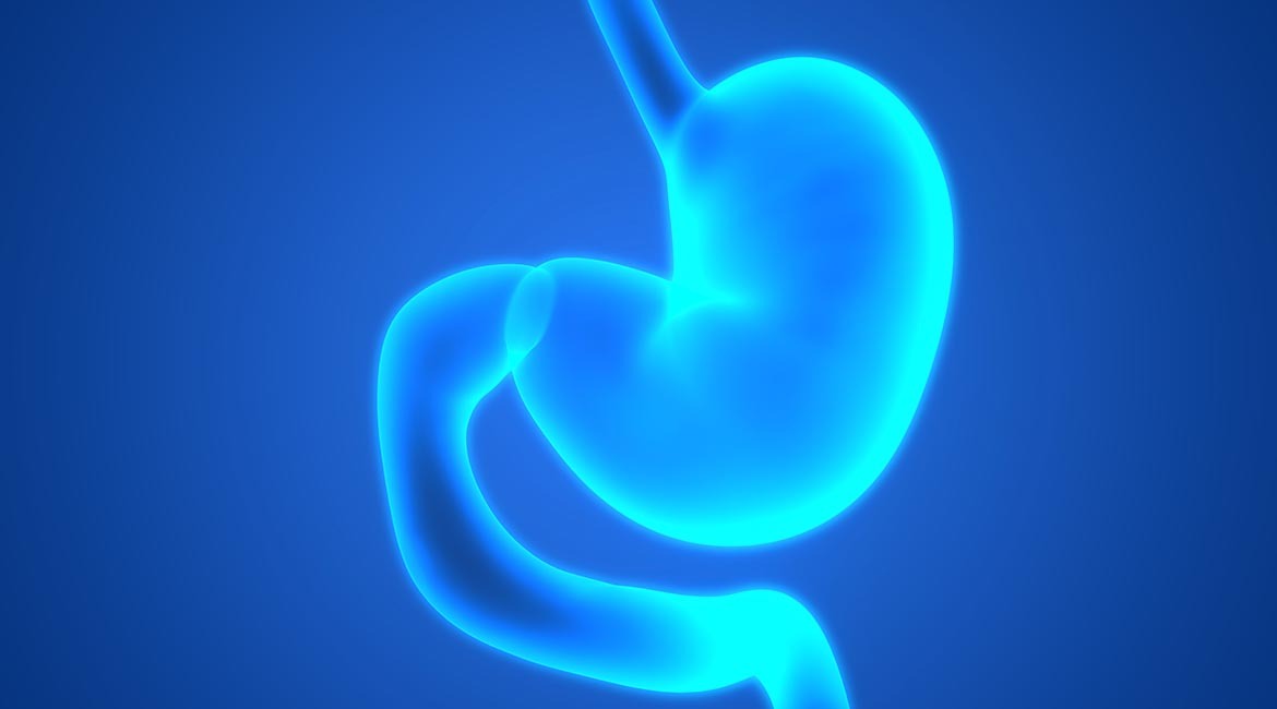 Modélisation 3D de l'estomac humain en lumière bleue pour études biomédicales.