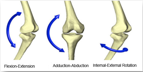 knee movements