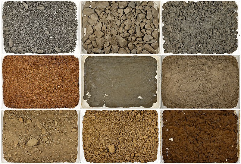 Échantillons variés de sols, illustrant différentes textures et compositions, essentiels pour des études en géotechnique et en ingénierie.