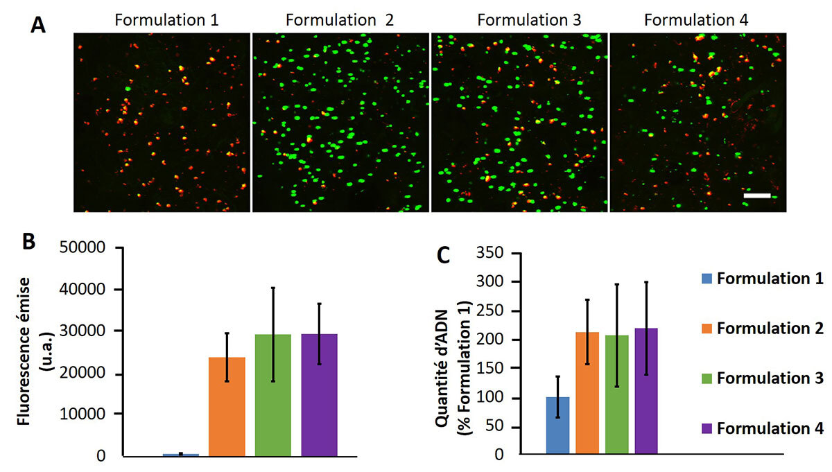 Propriétés biologiques des hydrogels