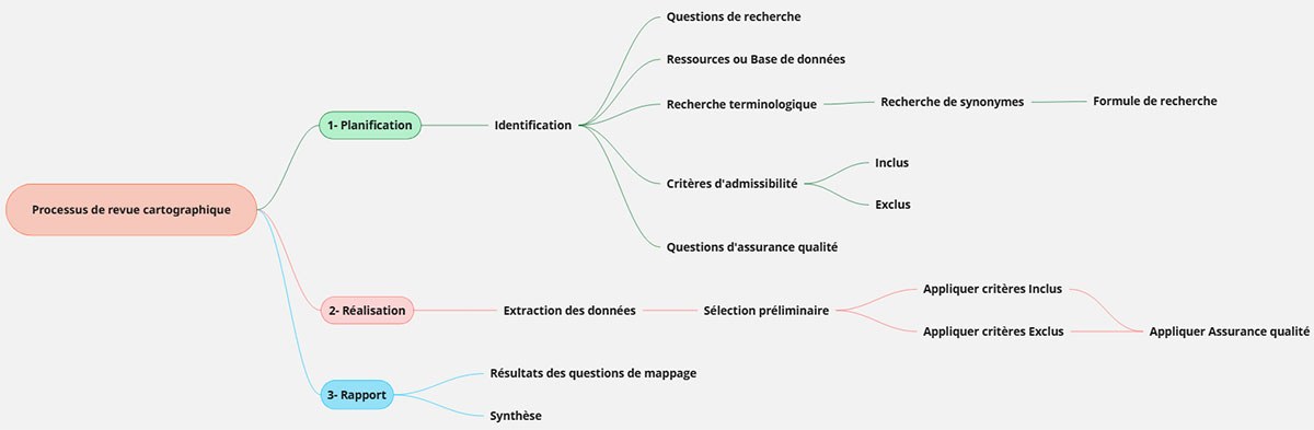 Processus de de revue cartographique pour cette étude