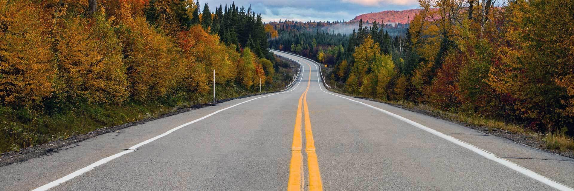 Route tranquille traversant une forêt automnale colorée.
