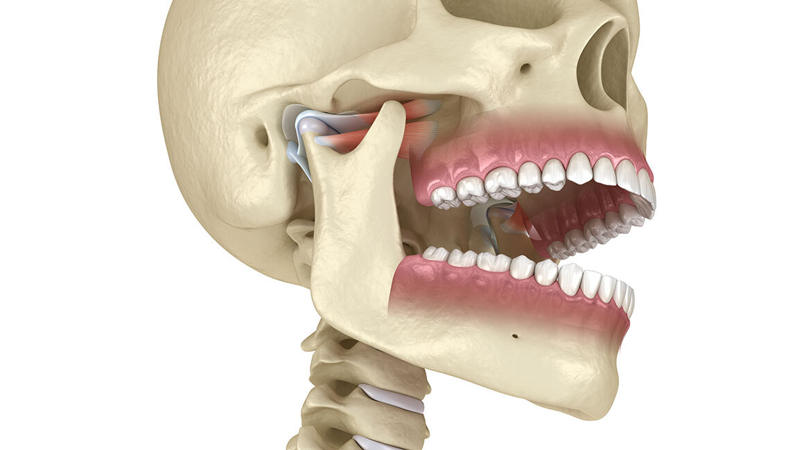 Étude de l'anatomie craniofaciale et dentaire.